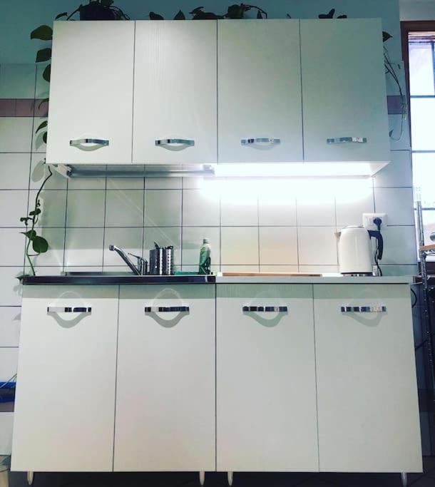 Secretgarden - Levico Terme Apartment Ngoại thất bức ảnh